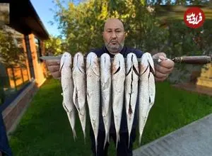 ببینید| غذای روستایی در روسیه؛ کباب ماهی کفال در روستا