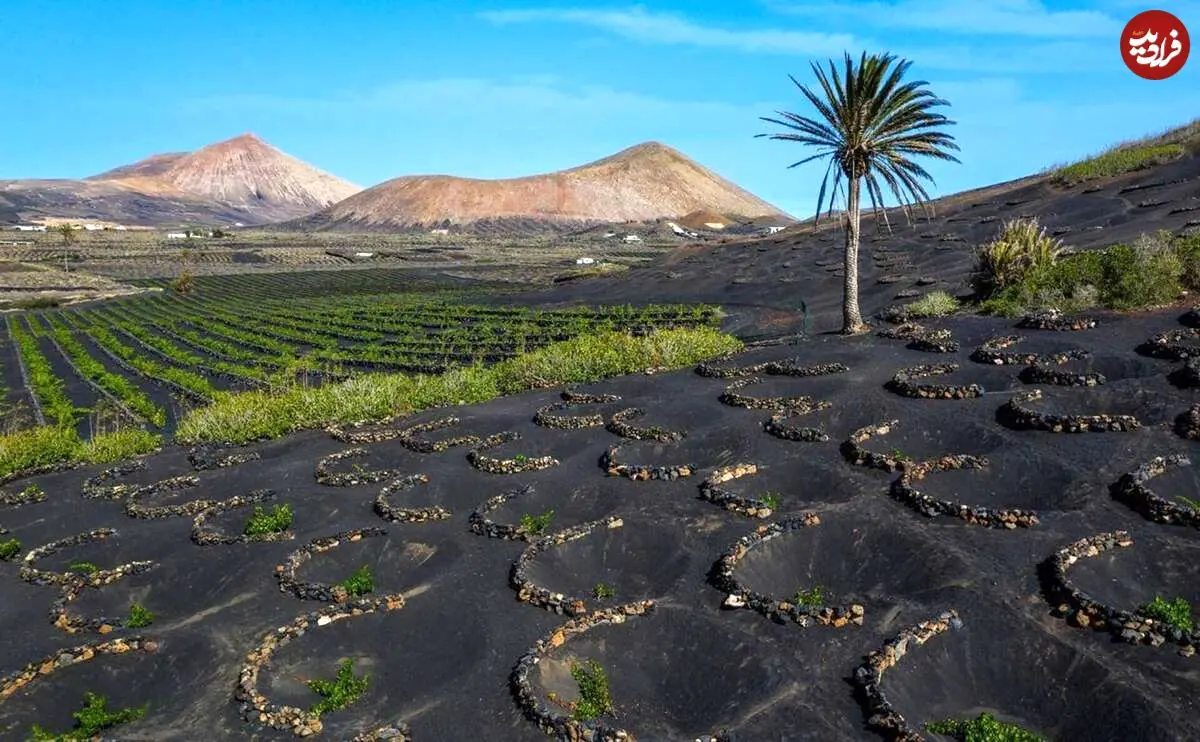 تصاویر؛ سرزمین شگفت انگیز سیاه و سپید؛ شرقی ترین جزیره از مجمع الجزایر قناری اسپانیا