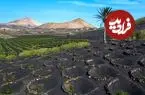 تصاویر؛ سرزمین شگفت انگیز سیاه و سپید؛ شرقی ترین جزیره از مجمع الجزایر قناری اسپانیا