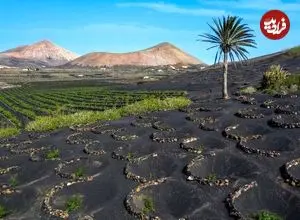 تصاویر؛ سرزمین شگفت انگیز سیاه و سپید؛ شرقی ترین جزیره از مجمع الجزایر قناری اسپانیا