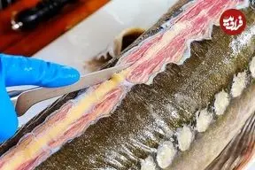 ببینید| غذای خیابانی در تایلند؛ کباب ماهی خاویاری با نارگیل و ادویه جات در بانکوک