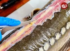 ببینید| غذای خیابانی در تایلند؛ کباب ماهی خاویاری با نارگیل و ادویه جات در بانکوک