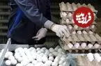 قیمت تخم‌مرغ در بازار چقدر است؟؛ اختلاف ۱۸۰هزارتومانی از مرغداری تا فروشگاه