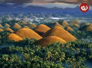 تپه‌های شگفت‌انگیز شکلاتی که زیستگاه میمون کوتولۀ شبگرد هستند