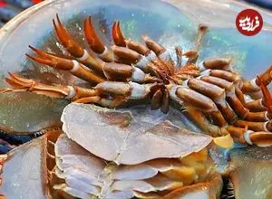 ببینید| غذای خیابانی در تایلند؛ خرچنگ نعل اسبی کبابی با سبزیجات در بانکوک