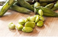 باقلا برای چه افرادی مضر است ؟ ؛ عوارض مصرف زیاد باقلا؛ باقلا را با چی بخوریم ؟
