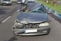 (عکس) تصادف پژو با اسب؛ راننده فوت کرد