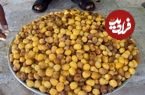 تصاویر؛ خرما هنوز نرسیده، خارَک درو می‌شود؛ روایتی از شادگانِ شیرین و تلخ
