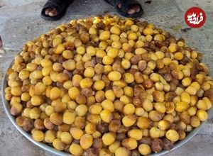 تصاویر؛ خرما هنوز نرسیده، خارَک درو می‌شود؛ روایتی از شادگانِ شیرین و تلخ