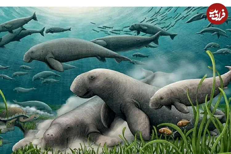 گاو دریایی ۲۱ میلیون ساله در خلیج فارس کشف شد