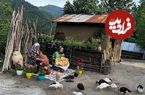 ببینید؛ غذای روستایی در گیلان؛ تهیه کره سنتی و نان تنوری در طبیعت