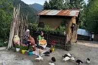 ببینید؛ غذای روستایی در گیلان؛ تهیه کره سنتی و نان تنوری در طبیعت