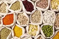 قیمت حبوبات کاهش یافت؛ اعلام قیمت لوبیا چیتی، لپه، عدس و نخود در اردیبهشت ۱۴۰۴