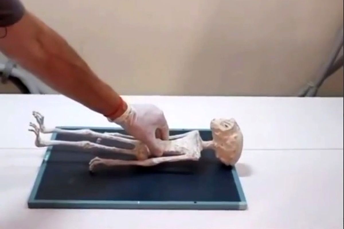 (ویدئو) کشف مومیایی یک موجود عجیب در مکزیک