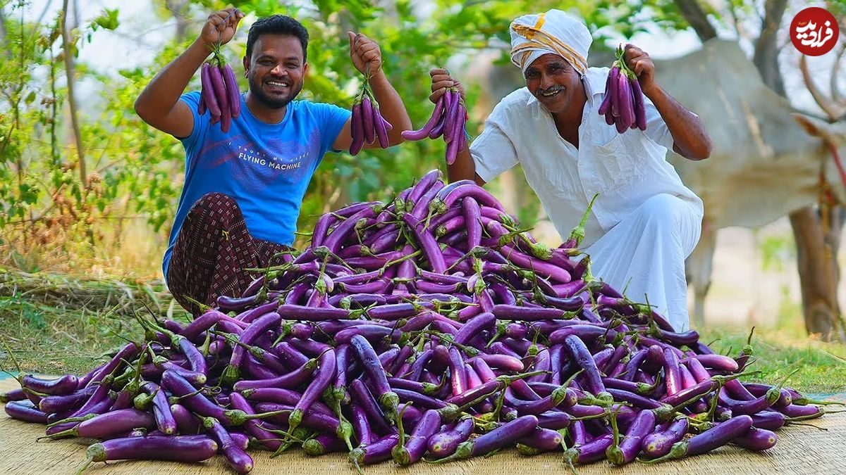 (ویدئو) غذای روستایی در هند؛ پخت یک غذای ابتکاری و ویژه با 10 کیلو بادمجان