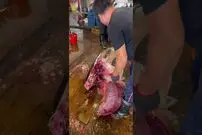 (ویدئو) مهارت خیره کننده این استاد کره‌ای در برش زدن سر ماهی تن 488 کیلوگرمی!