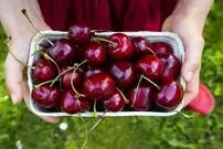 20 دلیل که باید گیلاس بخورید