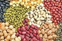 جهش قیمت لوبیا به دانه‌ای ۴۰۰ تومان؛ لپه‌چی: قیمت حبوبات در بازار متناسب با تورم است