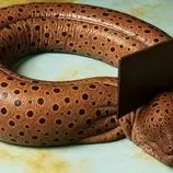 ببینید| غذای خیابانی در ژاپن؛ صید، برش و تهیه غذاها با مارماهی مورای غول پیکر در اوکیناوا