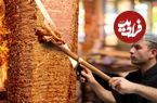 ببینید| غذای خیابانی در ترکیه؛ تهیه دونر کباب مرغ و گوشت پر طرفدار در استانبول