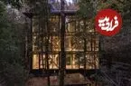 معماری منحصربه‌فرد خانه‌ای در دل جنگل‌های بارانی