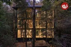 معماری منحصربه‌فرد خانه‌ای در دل جنگل‌های بارانی