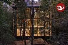 معماری منحصربه‌فرد خانه‌ای در دل جنگل‌های بارانی