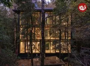 معماری منحصربه‌فرد خانه‌ای در دل جنگل‌های بارانی