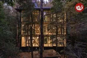 معماری منحصربه‌فرد خانه‌ای در دل جنگل‌های بارانی