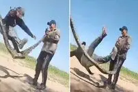 (ویدئو) طناب بازی جنجالی چند مرد آرژانتینی با یک مار بوآی زنده! 