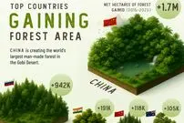 کشورهایی که در یک دهه اخیر بیشترین افزایش مساحت جنگل را داشته‌‌اند + اینفوگرافی