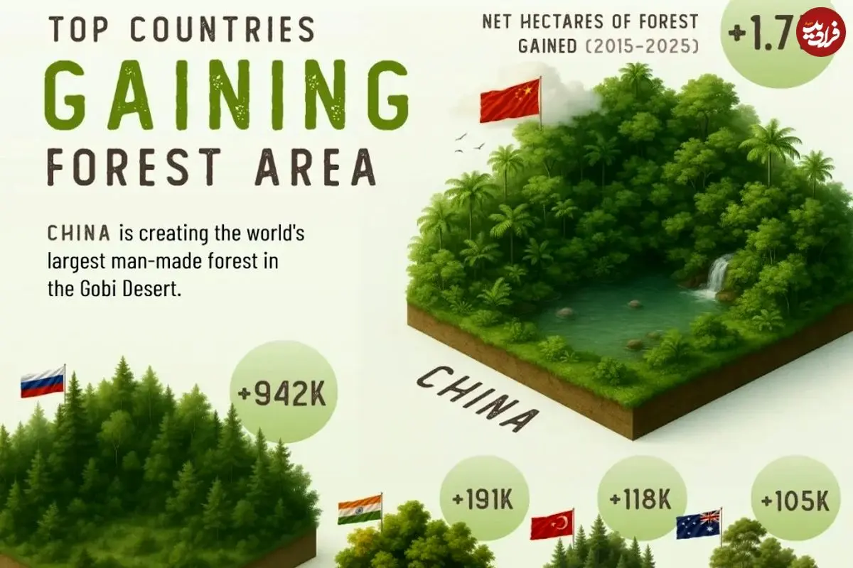 کشورهایی که در یک دهه اخیر بیشترین افزایش مساحت جنگل را داشته‌‌اند + اینفوگرافی