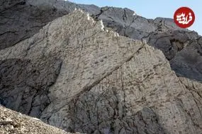 کشف هزاران ردّپای 200 میلیون ساله بر روی یک صخرۀ عمودی