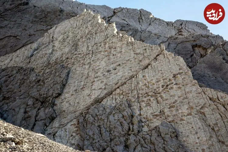 کشف هزاران ردّپای 200 میلیون ساله بر روی یک صخرۀ عمودی