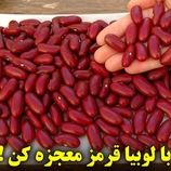 ببینید؛ طرز پخت خوراک لوبیا قرمز اسپانیایی برای آن هایی که لوبیا دوست ندارند!