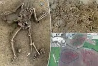 اسرار هولناک یک گورستان هفت هزار ساله در قلب اروپا؛ معمای عجیب ۷۷ اسکلت بی‌سر