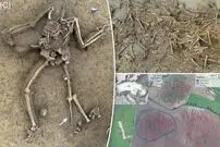 اسرار هولناک یک گورستان هفت هزار ساله در قلب اروپا؛ معمای عجیب ۷۷ اسکلت بی‌سر