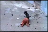 ببینید| وقتی مادر واقعی رفت، مادر عروسکی آمد! فیلمی که میلیون‌ها نفر را گریاند