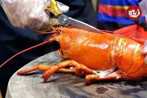 ببینید| غذای خیابانی در ویتنام؛ پخت فرنی و لابستر آلاسکایی در هانوی