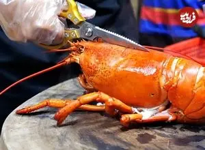 ببینید| غذای خیابانی در ویتنام؛ پخت فرنی و لابستر آلاسکایی در هانوی