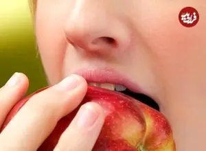 مغز شما پیش از آن‌که بدانید خوراکی‌تان را انتخاب می‌کند