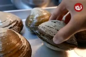 ببینید| غذای خیابانی در ژاپن؛ تهیه سوپ و ساشیمی با صدف دریایی در اوکیناوا