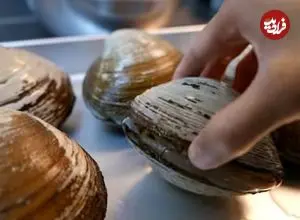 ببینید| غذای خیابانی در ژاپن؛ تهیه سوپ و ساشیمی با صدف دریایی در اوکیناوا