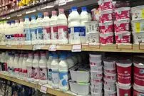 جدول| لبنیات از سفره‌ها پر کشید؛ قیمت جدید انواع پنیر و ماست