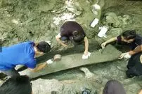(ویدیو) بیرون کشیدن استخوان‌های باستانی غول‌آسا از اعماق جنگل‌های تایوان