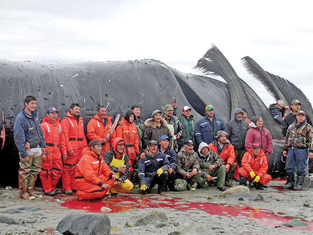 ( عکس) شکارچیان نهنگ، چه کسانی هستند؟
