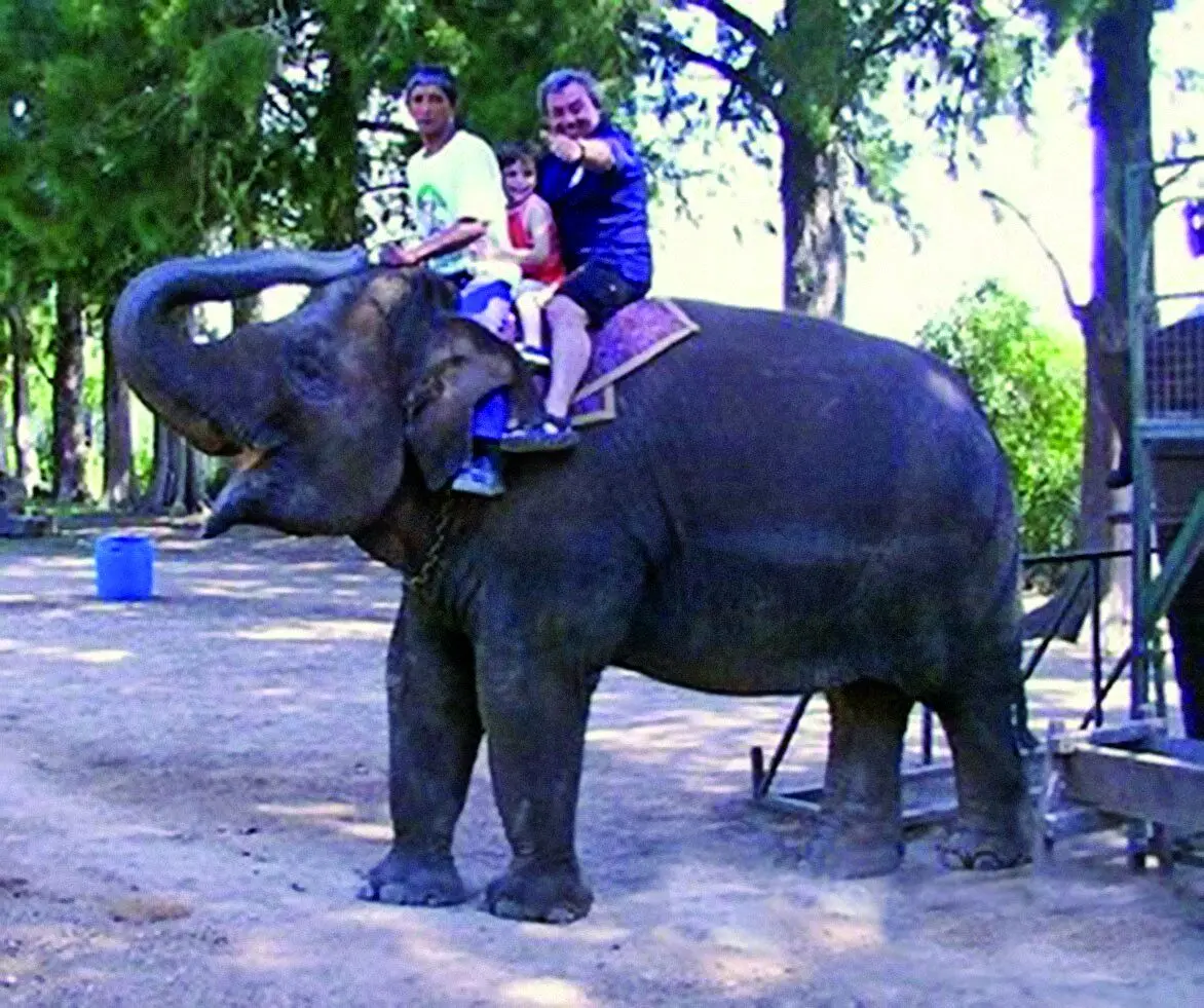 اینجا عجیب ترین و دلهره‌ آورترین باغ وحش جهان است