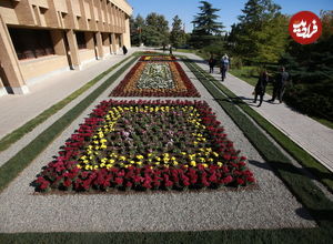 (عکس) زیباترین گل‌های جهان، در این نقطه از تهران جمع‌اند!