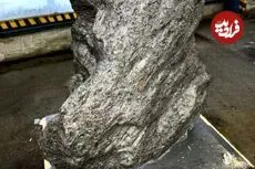 سنگ سه‌تُنی که به عنوان «سنگ باغچه» معرفی شده بود، شهاب‌سنگ 4 میلیاردساله از آب درآمد