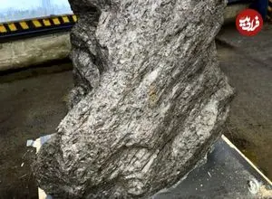 سنگ سه‌تُنی که به عنوان «سنگ باغچه» معرفی شده بود، شهاب‌سنگ 4 میلیاردساله از آب درآمد